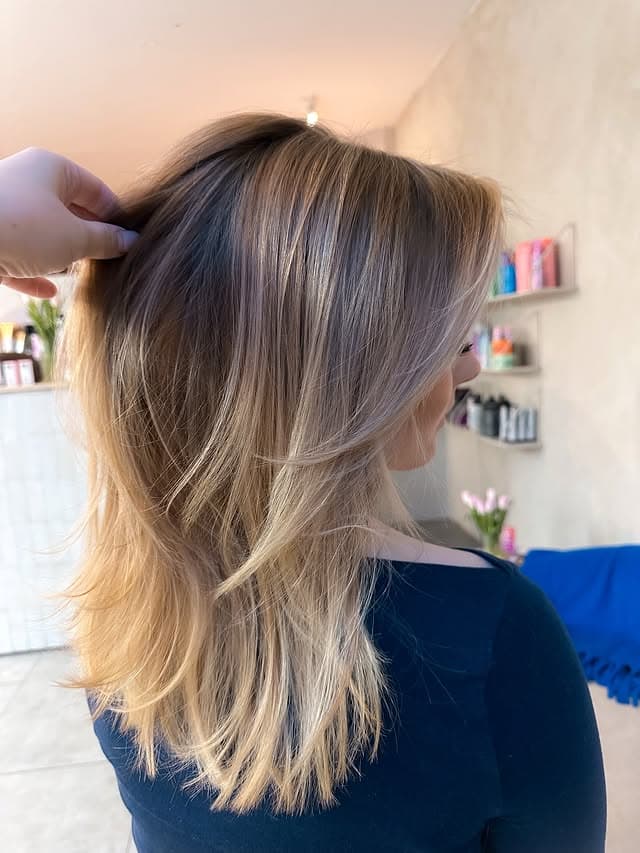 Bronde med lyse partier